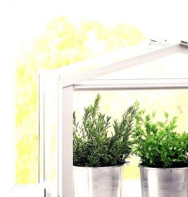 Парник для цветов - модель 1