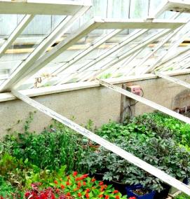 Парник для цветов - модель 4