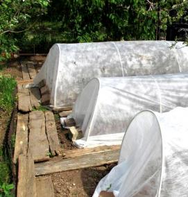 Парник для перцев - вариант 1