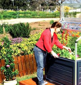 Парник для перцев - вариант 3