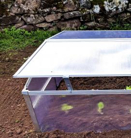 Парник для перцев - вариант 2