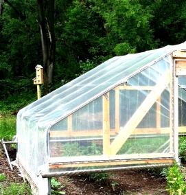 Парник для помидоров - вариант 2