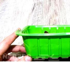 Парник для рассады в квартире - тип 4