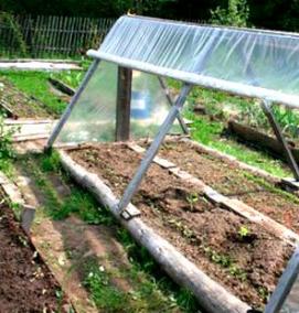 Парник дуговой - тип 3