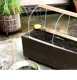 Парник из дуг для огурцов - тип 1