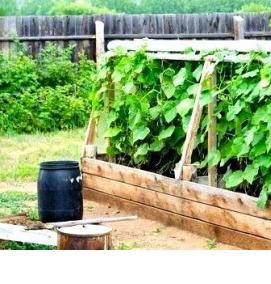 Парник из дуг для огурцов - тип 4