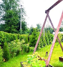 Парник из дуг для огурцов - тип 2