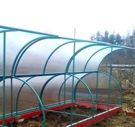 Парник кабачок - вариант 2