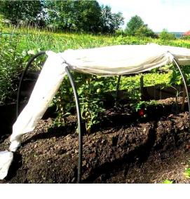 Парник подснежник - вариант 1