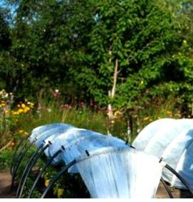 Парник подснежник - вариант 4