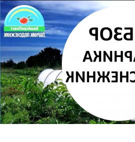 Парник подснежник - вариант 3