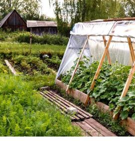 Парник - модель 3