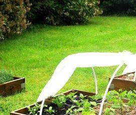 Парник теплица металлическая - вариант 2