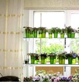 Парник в квартире для рассады с подсветкой - тип 4