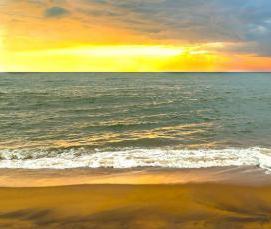 Песок чистый - тип 1