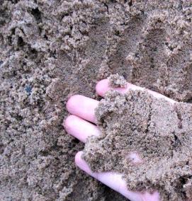 Песок для рассады - тип 2