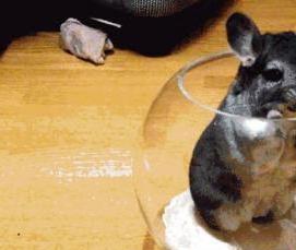 Песок прокаленный - тип 1