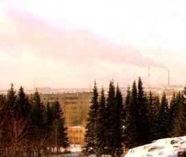 Пихтовая вагонка - модель 1