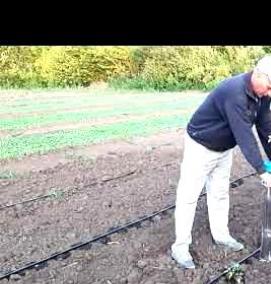 Пистолет для посадки рассады - тип 3