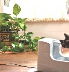 Питьевой фонтан для кошек - модель 4