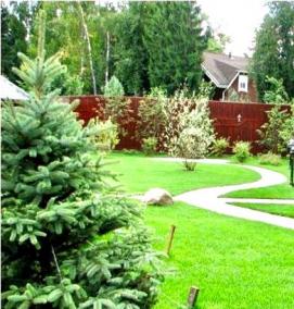 Планировка квадратного участка 10 соток - вариант 3