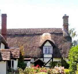 Планировка участка 7 соток с домом - модель 4