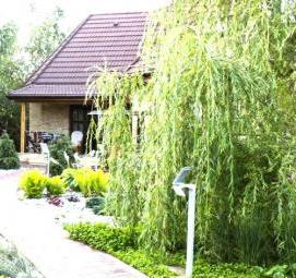 Планировка участка 7 соток с домом - модель 2