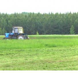 Планировка участка по кадастровому номеру - тип 3