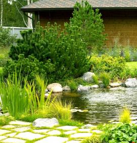 Планировка участка с прудом - тип 1