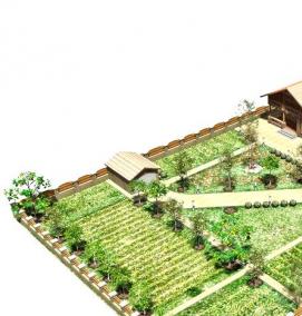 Планировка участка СНТ - вариант 4