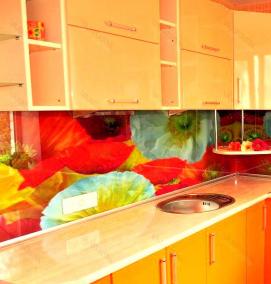 Пластиковые фартуки для кухни с фотопечатью - модель 3