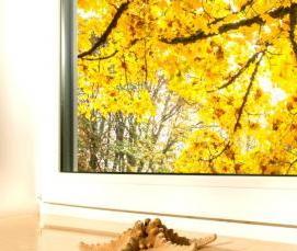 Пластиковые окна без подоконника - модель 2