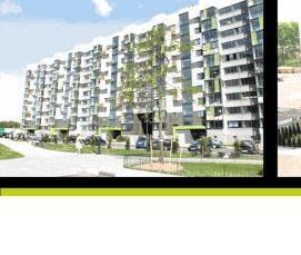 Пластиковые окна цветной профиль - тип 1