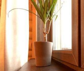 Пластиковые окна цветной профиль - тип 4