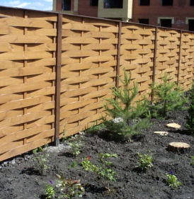 Плетеный забор Стандарт