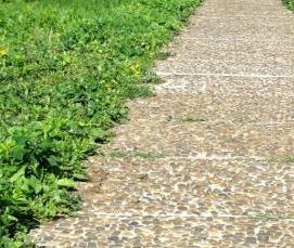 Плита тротуарная 600х600х60 - тип 2