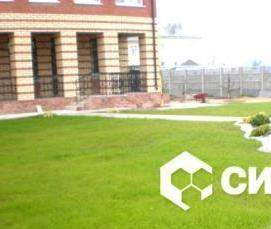 Плитка тротуарная сиян - тип 1