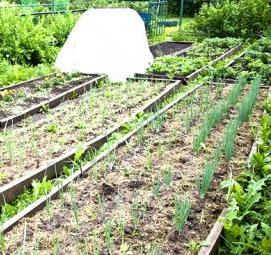 Плодородный грунт для рассады - модель 1