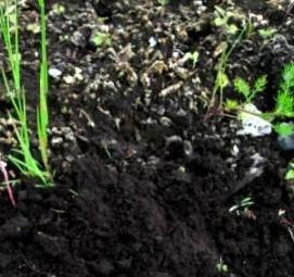 Плодородный грунт для рассады - модель 3