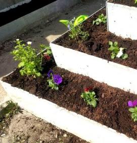 Плоские грядки - модель 3