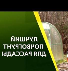 Почвогрунт для рассады - модель 4