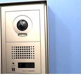 Подъездные домофоны - модель 2
