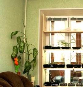 Подставка для лампы для рассады - модель 1