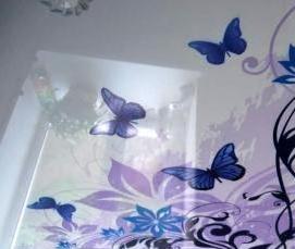 Подвесные потолки с фотопечатью - модель 1