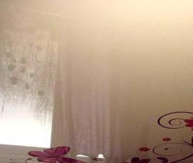 Подвесные потолки с фотопечатью - модель 2