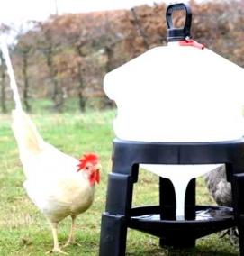 Поилка для кур с поплавком - вариант 4