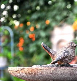 Поилка для птиц из бетона - тип 2