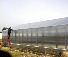 Поликарбонат 6 метров 10 мм - модель 3
