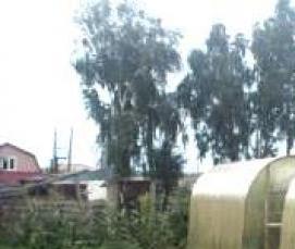 Поликорбанатовые теплицы - тип 2