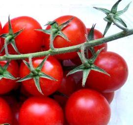 Помидоры черри рассада - вариант 2